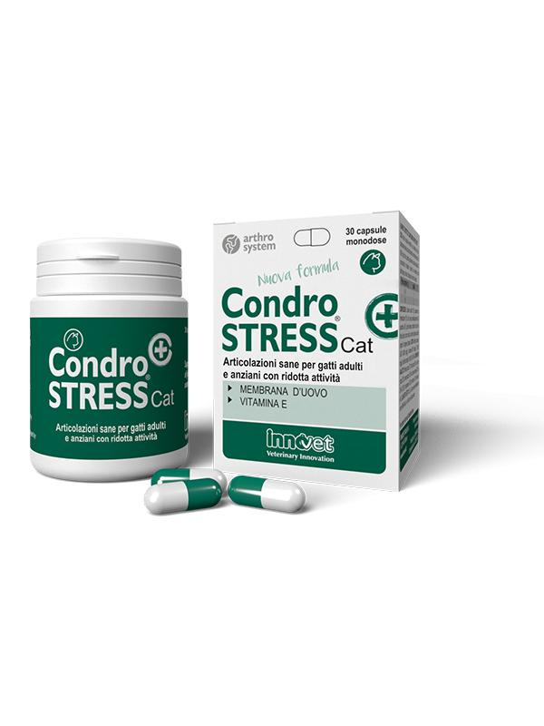 Innovet Gatto Condrostress