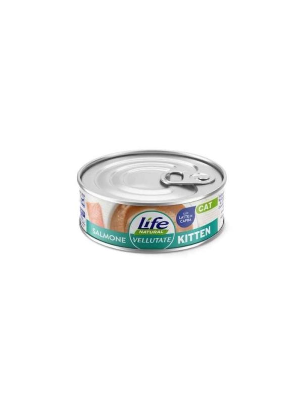LifePetCare Cat Vellutata Salmone Kitten 70gr