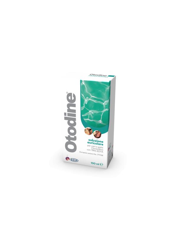 Otodine Soluzione Auricolare 100ml